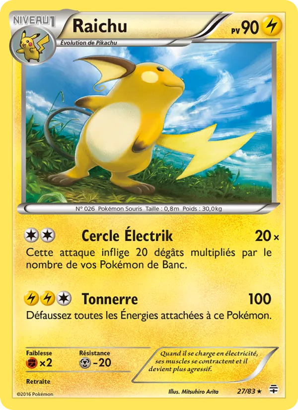 Raichu, Générations 27