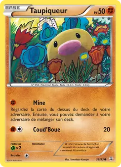 Taupiqueur, Générations 38