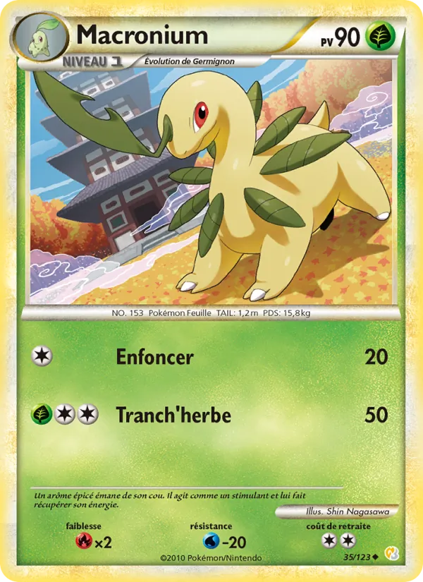 Macronium, HeartGold SoulSilver 35