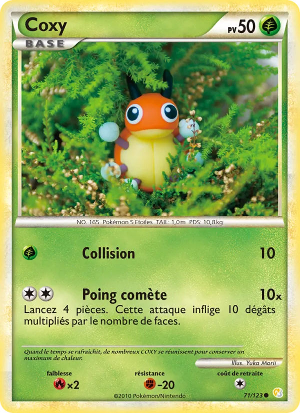 Coxy, HeartGold SoulSilver 71
