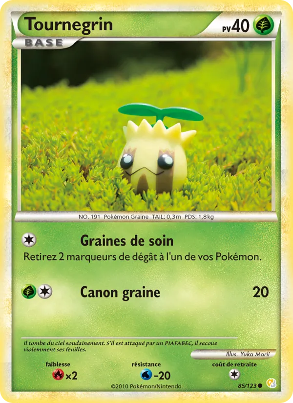 Tournegrin, HeartGold SoulSilver 85