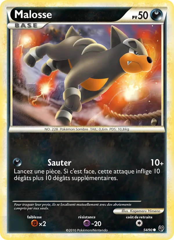 Malosse, Indomptable 54