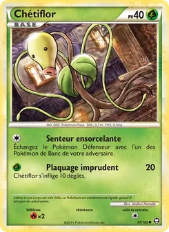 Chétiflor, Triomphant 57