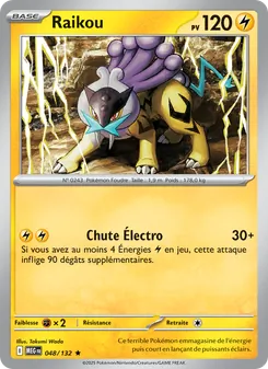 Raikou, Méga-Évolution 048