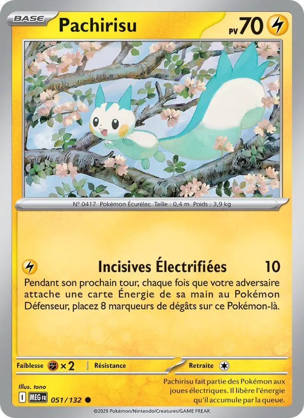 Pachirisu, Méga-Évolution 051