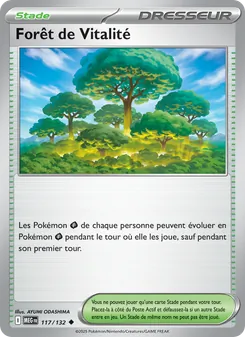 Forêt de Vitalité, Méga-Évolution 117
