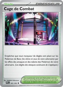 Cage de Combat, Flammes Fantasmagoriques 085