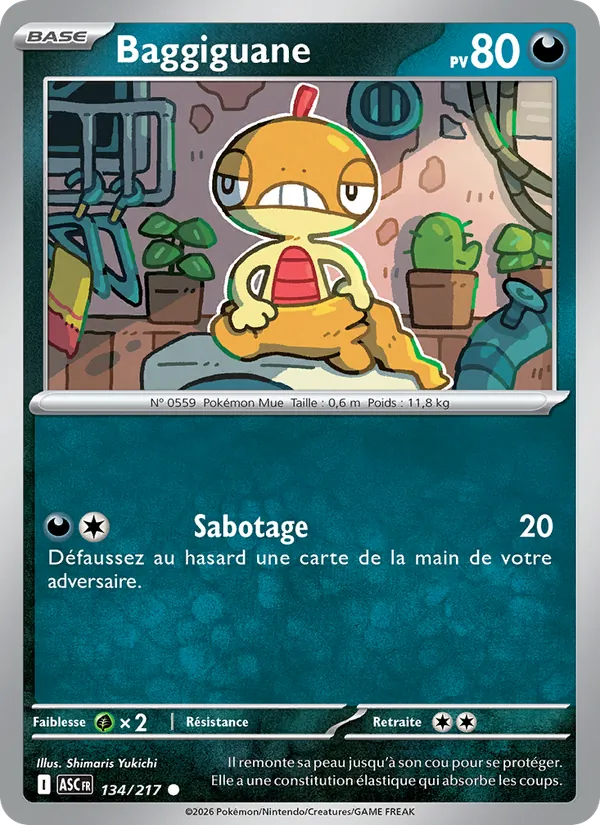 Baggiguane, Héros Transcendants 134