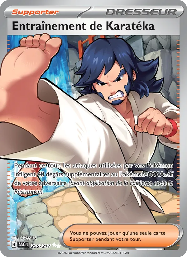 Entraînement de Karatéka, Héros Transcendants 255