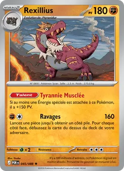 Rexillius, Équilibre Parfait 045