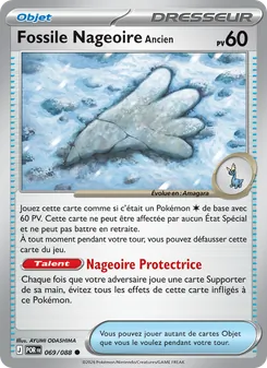 Fossile Nageoire Ancien, Équilibre Parfait 069