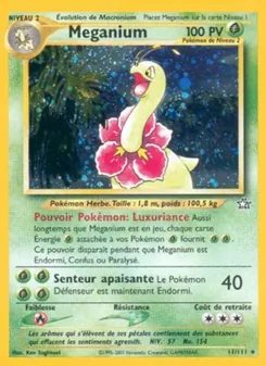 Meganium, Neo Genesis 11