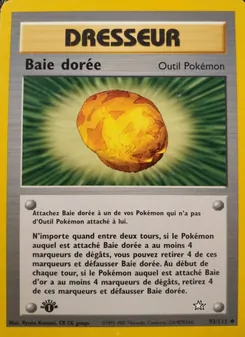 Baie dorée, Neo Genesis 93