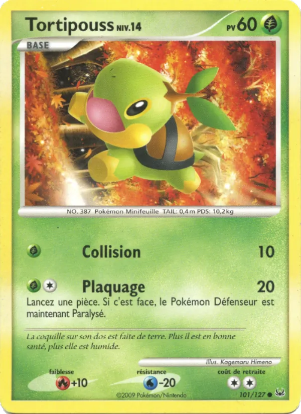Tortipouss, Platine 101