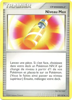 Niveau Max, Platine 107
