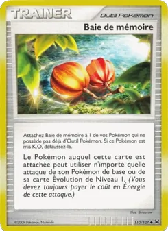 Baie de mémoire, Platine 110