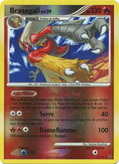 Brasegali, Platine 3