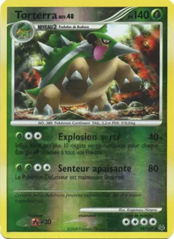 Torterra, Platine 39