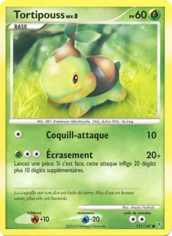 Tortipouss, Vainqueurs Suprêmes 131