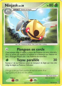 Ninjask, Vainqueurs Suprêmes 73