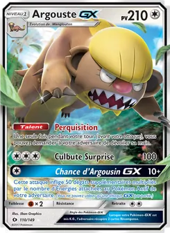 Argouste GX, Soleil et Lune 110