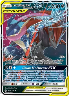 Amphinobi et Zoroark GX, Alliance Infaillible 107