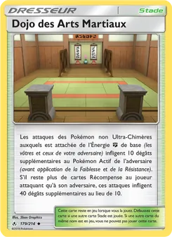 Dojo des Arts Martiaux, Alliance Infaillible 179