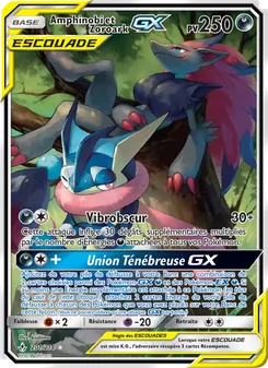 Amphinobi et Zoroark GX, Alliance Infaillible 201