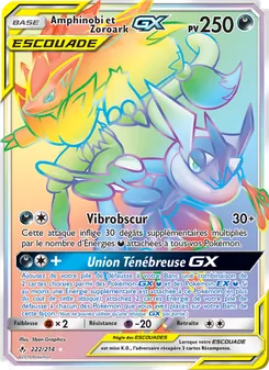 Amphinobi et Zoroark GX, Alliance Infaillible 222