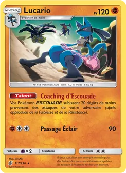 Lucario, Harmonie des Esprits 117