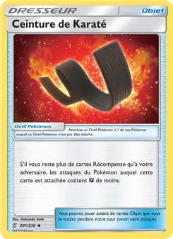 Ceinture de Karaté, Harmonie des Esprits 201