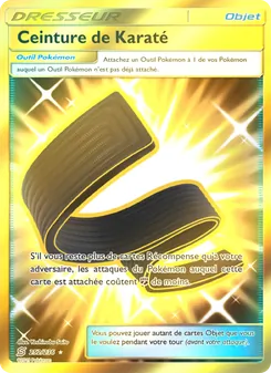 Ceinture de Karaté, Harmonie des Esprits 252
