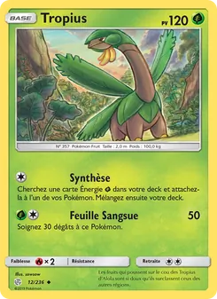 Tropius, Éclipse Cosmique 12