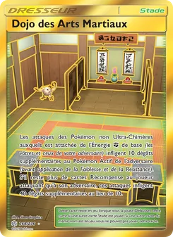 Dojo des Arts Martiaux, Éclipse Cosmique 268