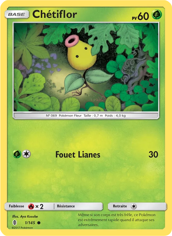 Chétiflor, Gardiens Ascendants 1