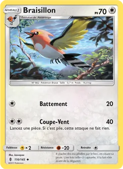 Braisillon, Gardiens Ascendants 110