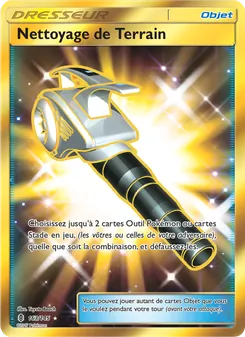 Nettoyage de Terrain, Gardiens Ascendants 163