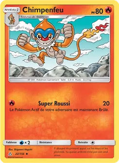 Chimpenfeu, Ultra-Prisme 22