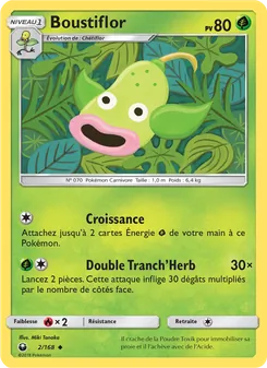 Boustiflor, Tempête Céleste 2