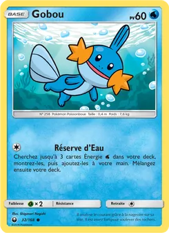 Gobou, Tempête Céleste 32