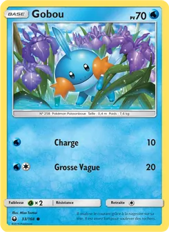 Gobou, Tempête Céleste 33