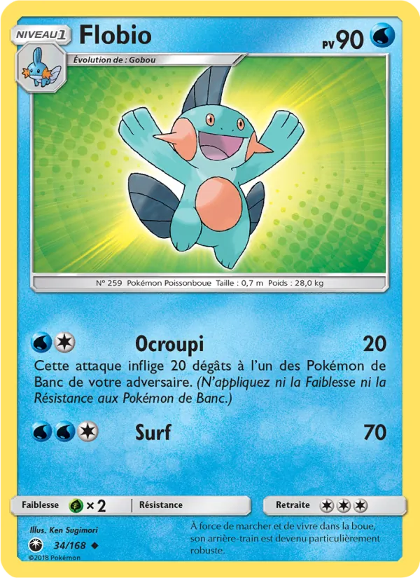 Flobio, Tempête Céleste 34