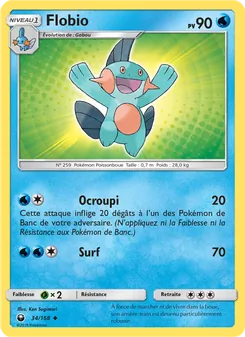 Flobio, Tempête Céleste 34