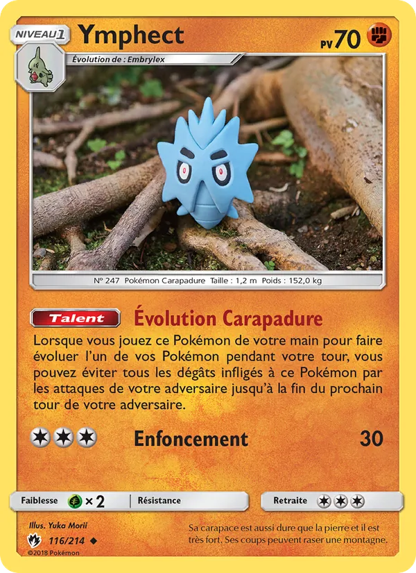 Ymphect, Tonnerre Perdu 116