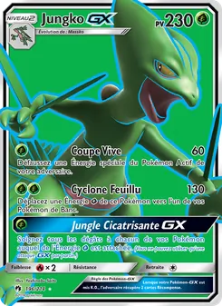 Jungko GX, Tonnerre Perdu 196