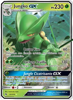 Jungko GX, Tonnerre Perdu 22