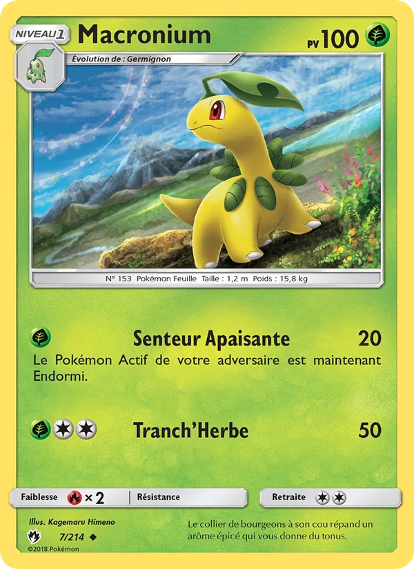 Macronium, Tonnerre Perdu 7