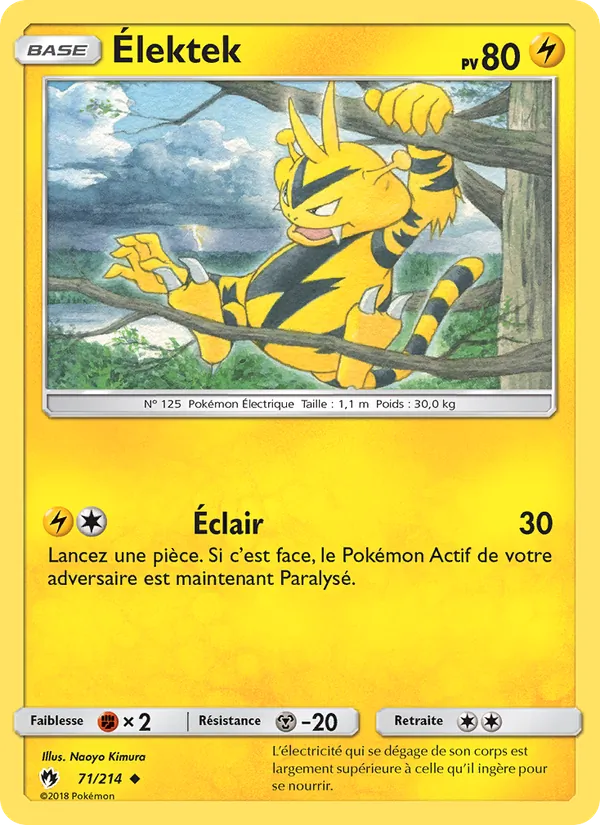 Élektek, Tonnerre Perdu 71