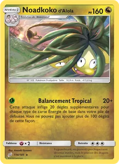 Noadkoko d’Alola, Duo de Choc 114