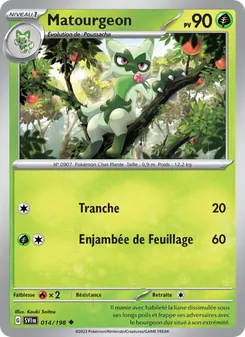 Matourgeon, Écarlate et Violet 014